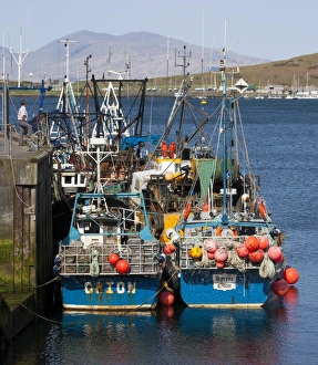 Fishing Boats Prints: Fishing boats at Oban in Argyll and Bute, Scotland