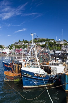 Fishing Prints: Fishing boats at Oban, Scotland