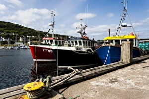 Lake Prints: Fishing boats at Tarbert, Scotland
