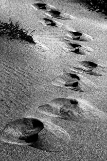 Geology Prints: Footsteps in the sand at Playa de Monsul near San Jose in Spain