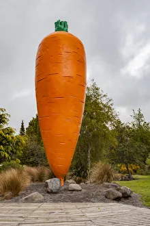 Editor's Picks: A giant carrot sculpture at Ohakune in Manawatu-Wanganui, New Zealand