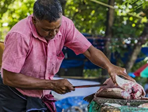 India Prints: Gutting a fish at Fort Kochi in Kerala, India