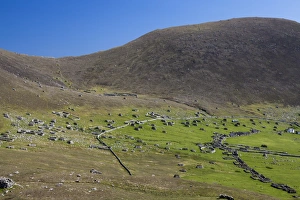 Images Dated 2012: The island of Hirta, St Kilda, Scotland