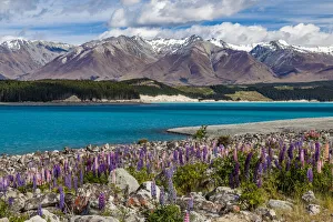 : Lake Pukaki in Canterbury, New Zealand