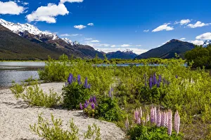 : Lake Wakatipu at Glenorchy in Otago, New Zealand