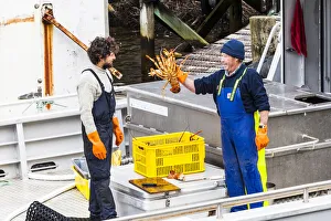 Editor's Picks: Lobster fishermen in Doubtful Sound, Southland in New Zealand