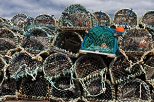 Images Dated 2010 May: Lobster pots, Orkney, Scotland
