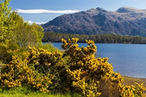 Loch Maree, Scotland