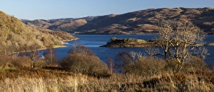 Images Dated 2011: Loch Melfort, Argyll & Bute, Scotland