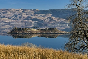Images Dated 2013: Loch Melfort, Argyll & Bute, Scotland