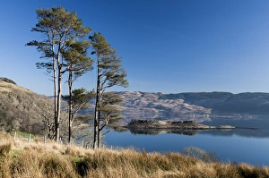Images Dated 2013: Loch Melfort, Argyll & Bute, Scotland