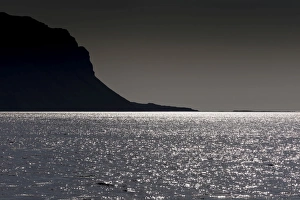 Images Dated 2012: Loch Na Keal, Mull, Scotland