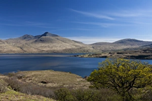 Images Dated 2012: Loch Na Keal, Mull, Scotland