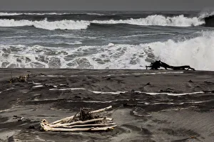 Geology Prints: Logs washed up on the beach at Hokitika in West Coast, New Zealand