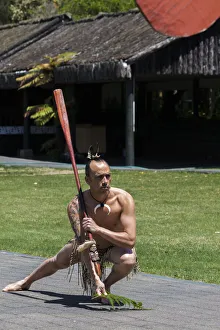 : A Maori performer at Te Puia in Roturua, Bay of Plenty in New Zealand