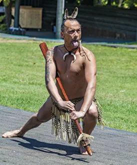 New Zealand Prints: A Maori performer at Te Puia in Roturua, Bay of Plenty in New Zealand