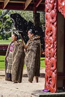 : Maori performers at the Waitangi Treaty Grounds, Paihai in Northland, New Zealand