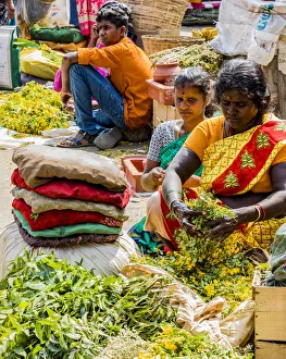India Prints: A market at Coimbatore in Tamil Nadu, India