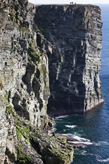 Images Dated 2010: Marwick Head, Orkney, Scotland