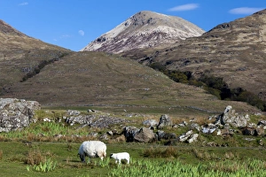 Mountains Prints: Mountains at Loch Na Keal, Mull, Scotland