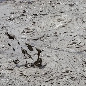 New Zealand Prints: A mud pool in an active volcanic area at Te Puia in Roturua, Bay of Plenty, in New Zealand