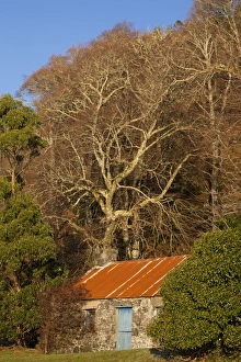 Lorn Prints: An old shed at Barcaldine in Argyll and Bute, Scotland