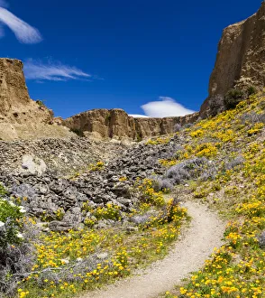 Editor's Picks: A path through the countryside near Bannockburn in Otago, New Zealand