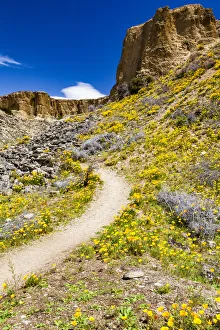 : A path through the countryside near Bannockburn in Otago, New Zealand