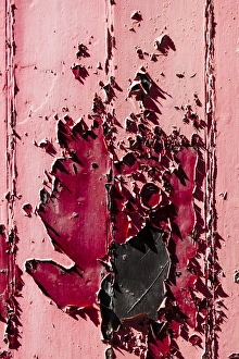Lorn Prints: Peeling paint on a doorway