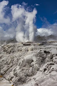 : The Pohutu Geyser at Te Puia in Roturua, Bay of Plenty, in New Zealand