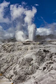 New Zealand Prints: The Pohutu Geyser at Te Puia in Roturua, Bay of Plenty, in New Zealand