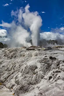 New Zealand Prints: The Pohutu Geyser at Te Puia in Roturua, Bay of Plenty, in New Zealand
