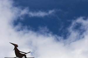 Sculpture Prints: A rooftop witch in Thorn, Netherlands