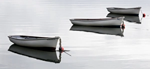 Orkney Prints: Rowing boats in Orkney, Scotland