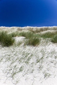 Images Dated 2010: Sand dunes at Cliad Bay, Coll, Scotland