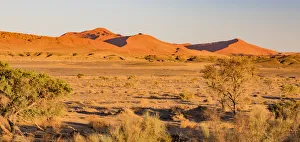 Namibia Prints: Sand dunes in Namib-Naukluft National Park, Namibia