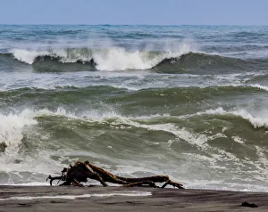 : A sea-borne log on the beach at Hokitika in West Coast, New Zealand