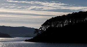 Island Prints: Shieldaig Island in Torridon, Scotland