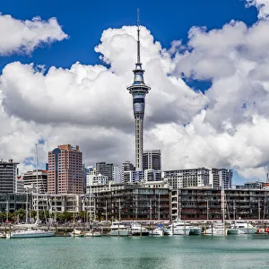 Editor's Picks: The Sky Tower at Auckland, New Zealand