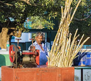 A stall selling sugar cane at Mamallapuram in Tamil Nadu, India