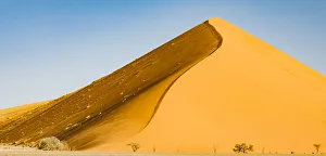 Desert Prints: A tall dune in the Namib Naukluft Park in Namibia