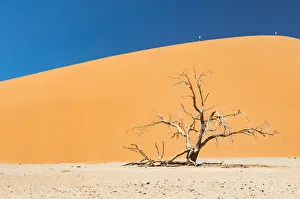 Namibia Prints: A tall sand dune in Namib-Naukluft National Park, Namibia