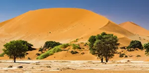 Namibia Prints: A tall sand dune in Namib-Naukluft National Park, Namibia
