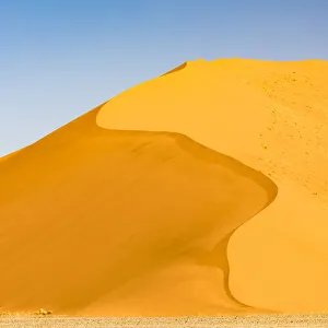 Namibia Prints: A tall sand dune in Namib-Naukluft National Park, Namibia
