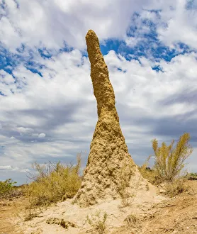 Desert Prints: A termite hill in Damaraland, Namibia