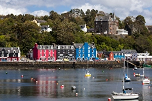 Images Dated 2011: Tobermory, Mull, Scotland