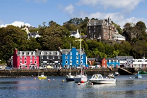 Images Dated 2011: Tobermory, Mull, Scotland