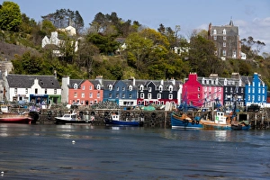 Mull Prints: Tobermory, Mull, Scotland
