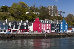 Images Dated 2012: Tobermory, Mull, Scotland