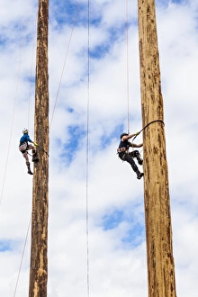 Images Dated 2014: A tree trunk climbing competition